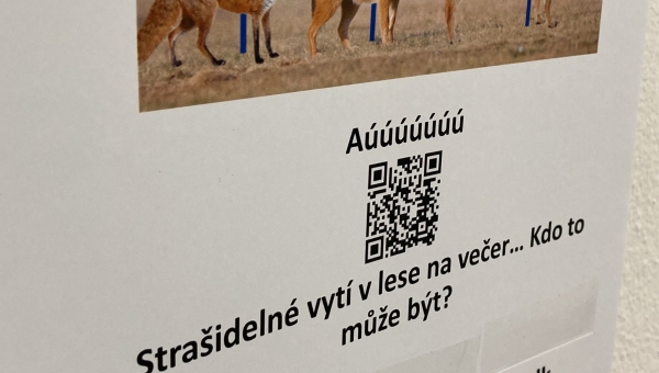 Je to dřina!